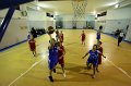 Basket 443084